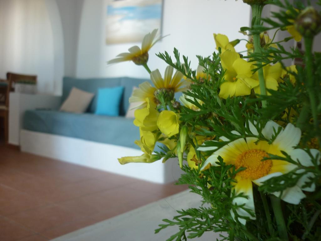 Villa Aelia Santorini Vóthon Rom bilde