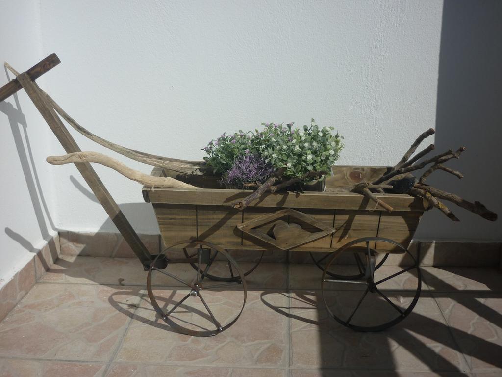 Villa Aelia Santorini Vóthon Rom bilde